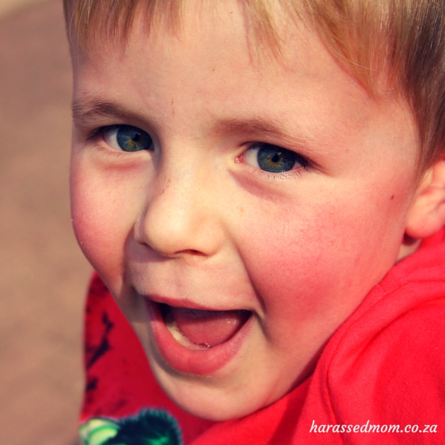 Four things no one told me I would feel as a parent|Harassedmom