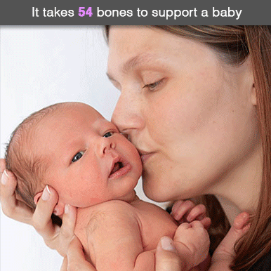 Caltrate Bone Density|HarassedMom