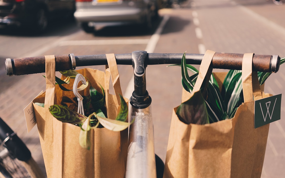 Budget Beating Groceries|HarassedMom